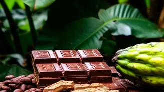 South Indian Craft Chocolatiers Create High-End Bean-To-Bar Gifting Options With Local Cacao