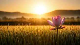 Embrace Your Day: 5 AM Affirmations for a Calm, Productive, and Peaceful Morning