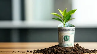 Smart Strategies for a $50k Inheritance: Grow It!