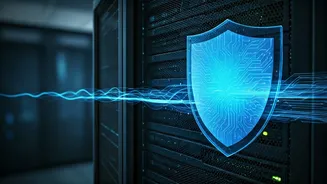 Securing Your Online Experience: A Deep Dive into Bot Protection Measures