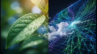 India: How State of India's Environment 2026 Changes Everyday Planning