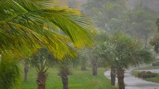What August's Particularly Wet Monsoon Stretch Changes About Weather-Aware Timing Between Travel Legs