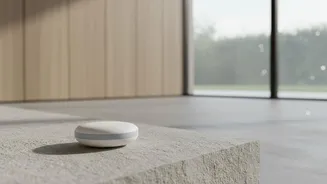 Wearable Sweat Sensors Track Real Time Hydration Needs During Humid Outdoor Workouts