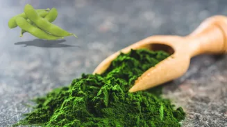 Chlorella: The superfood you didn't know you needed