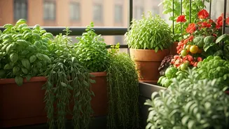 India Turns Balconies Into Green Gardens