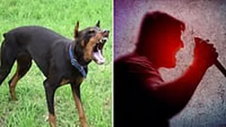 Mumbai Crime: Pet Dog Barking Row Turns Into Violent Attack In Antop Hill, 15-Year-Old Boy Stabbed; 6 Booked
