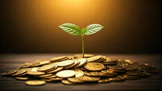 Why SIPs Keep Attracting New Investors