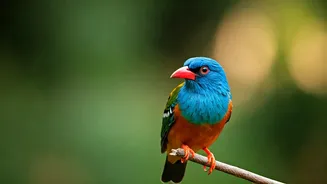 Birdwatching Turns Delhi Into A Micro-Adventure Map