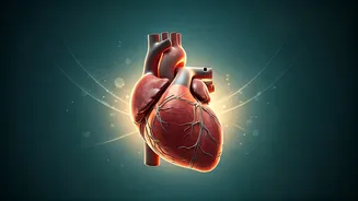 5 Essential Habits After 30 for a Robust Heart & Vibrant Life at 80