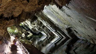 If Belgium fascinates you, read on