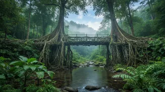 Shillong And Cherrapunji Emerge As Ideal Remote Work Havens In Monsoon