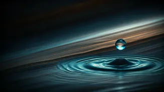 Related Stories banner