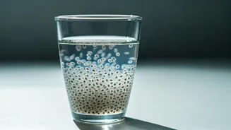 Add Soaked Sweet Basil Seeds To Water For Gut Comfort