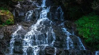 Offbeat Meghalaya Getaway Best Practices: Sohra Waterfalls Living Root Bridges