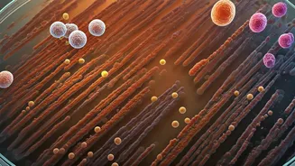 Your Gut's Secret Life: How Eating the Same Foods Daily Reshapes Your Microbiome