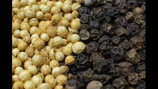 How Monsoon Impacts Indian Celery Seed Prices