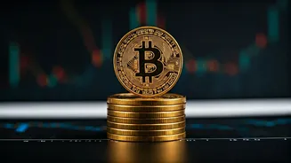 Meesho IPO: Key Insights and Updates