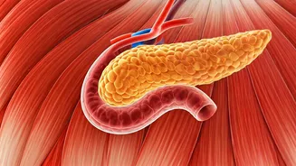 Fat Loss vs. Weight Loss: The Best Way to Manage Blood Sugar