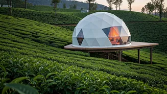 Escape To Munnar Glamping Domes For Pure Romance Today