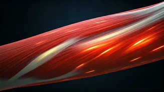 7 Surprising Signals: Muscle Growth Unveiled!