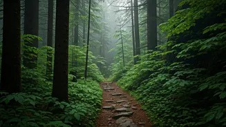 These Forest Trails Define North India's Monsoon