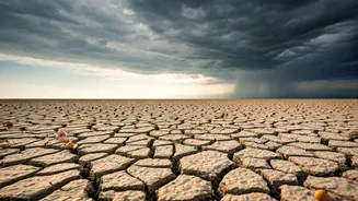 Farmers Advised To Delay Sowing Crops Till Consistent Rains Return