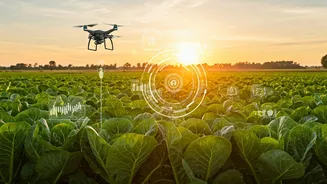 AI's Agricultural Revolution: Smart Tech Boosting Farmer Yields and Efficiency