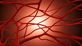 10 Winter Yoga Poses for Enhanced Blood Circulation