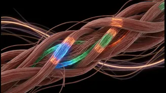 How active recovery options improve muscle repair outcomes for fitness-focused young adults