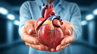 Diabetes & Heart Disease: Prevention Strategies Explained