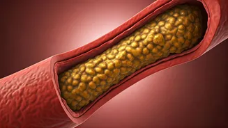 Blocked Arteries: 6 Critical Warning Signs You Shouldn't Ignore