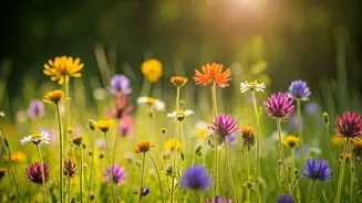 Nature-Inspired Baby Names for Every Season