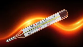 Heatwaves: India's Escalating Health Crisis & How Doctors Advise Protection