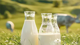 India's dairy market shifts to premium