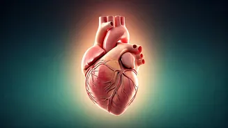 Recovering Your Heart: A Comprehensive Guide Post-Cardiac Event