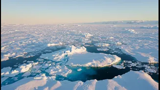 Antarctic Sea Ice Decline Sparks Global Climate Research