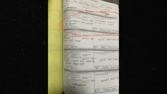 ‘Cockroach Hanged Until Death’: Air India's ‘Cabin Defect Log Entry’ Turns Internet’s ‘Detective Mode’ On