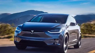 Why Mixed Indian Traffic Is a Tough Test for Tesla's Vision System