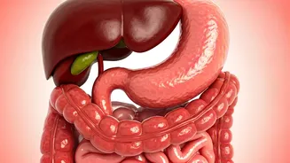 Ease Bloating: Change Eating Habits Now.