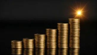 Dhurandhar's Box Office Performance: A Steady Run Continues