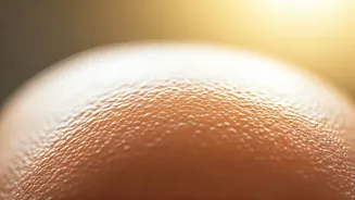 स्कैल्प डिटॉक्स: आपके सिर की सफाई