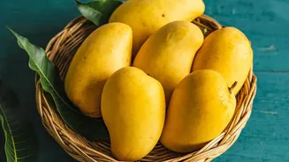 Karnataka Sends Neelam and Totapuri Mangoes Abroad in First Air Shipment