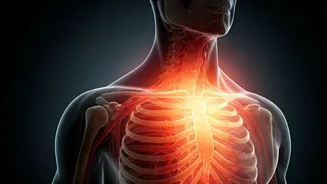 Unexplained Body Aches? Doctor Reveals Hidden Causes and Simple Fixes for Everyday Pain