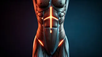 Master the Hollow Body Hold: Your Ultimate Core Strengthening Guide