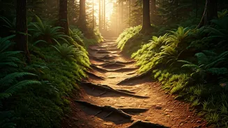 Engage Minor Muscles With Morning Earthen Trail Runs
