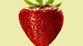 Indian Strawberry Breeding: A Commercial Indian Variety Could Take 10-15 Years