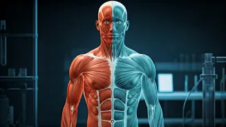 Beyond the 'Default': Unpacking Sex and Gender Imbalances in Exercise Science Research