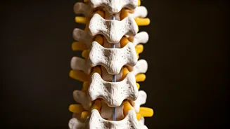 8 Stretches for Lower Back Pain Relief