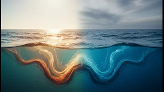 The Pacific Climate Cycle Explained In Simple Terms