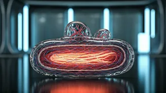 Karnataka's KCOCA: A Legal Overview